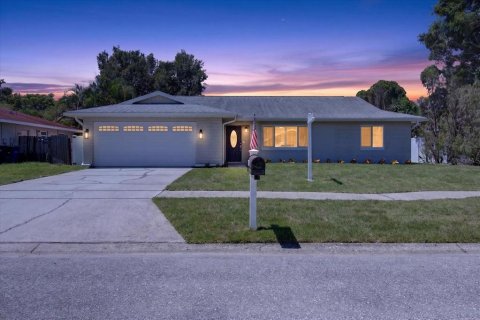 Villa ou maison à Clearwater, Floride 3 chambres, 130.71 m2 № 2358867