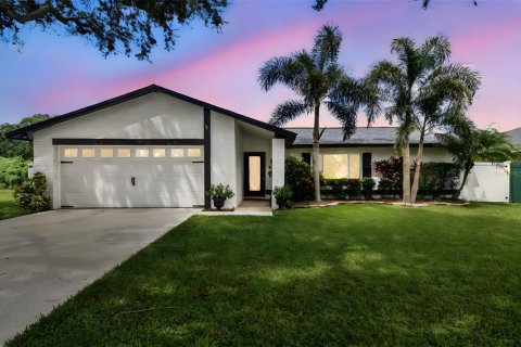 Villa ou maison à vendre à Lutz, Floride: 3 chambres, 138.89 m2 № 1919503 - photo 1