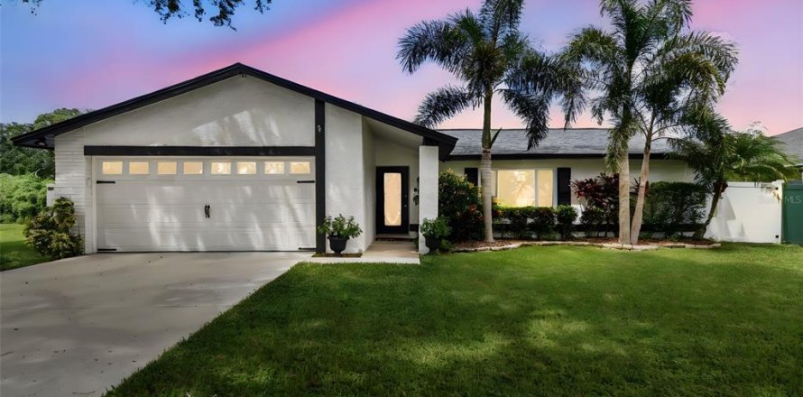 Villa ou maison à Lutz, Floride 3 chambres, 138.89 m2 № 1919503