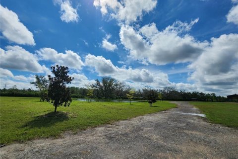 Land in Frostproof, Florida № 1879647 - photo 8