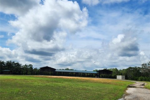 Land in Frostproof, Florida № 1879647 - photo 9
