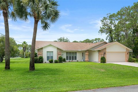 Villa ou maison à vendre à Palm Coast, Floride: 3 chambres, 212.65 m2 № 1787488 - photo 1