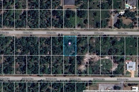 Land in Port Charlotte, Florida № 2165462