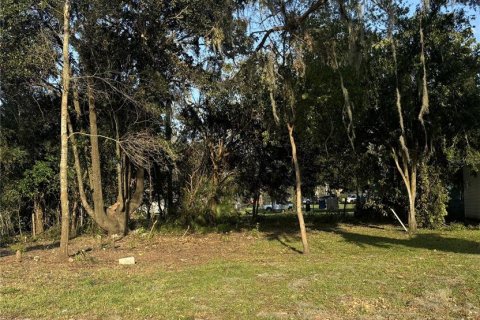 Terreno en venta en Dade City, Florida № 1408716 - foto 2