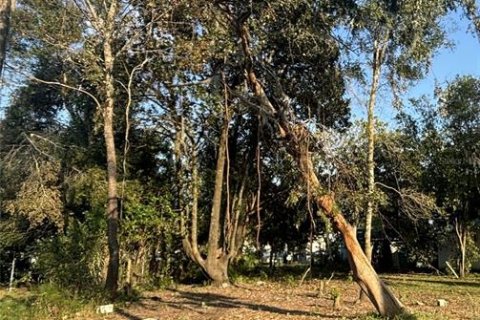 Terreno en venta en Dade City, Florida № 1408716 - foto 3