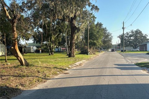 Terreno en venta en Dade City, Florida № 1408716 - foto 5