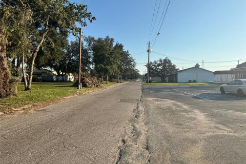 Terreno en venta en Dade City, Florida № 1408716 - foto 6