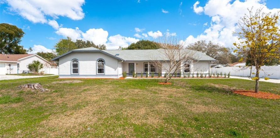 House in Mount Dora, Florida 4 bedrooms, 273.04 sq.m. № 2122730