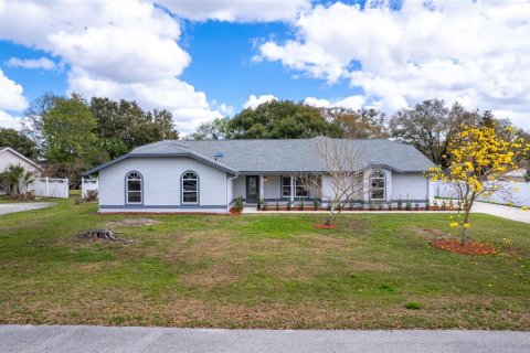 House in Mount Dora, Florida 4 bedrooms, 273.04 sq.m. № 2122730 - photo 5