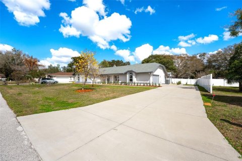 House in Mount Dora, Florida 4 bedrooms, 273.04 sq.m. № 2122730 - photo 2
