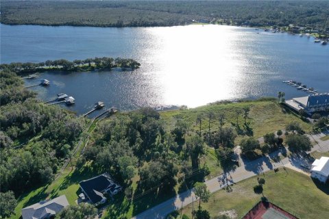 Land in Lake Placid, Florida № 1554355 - photo 1