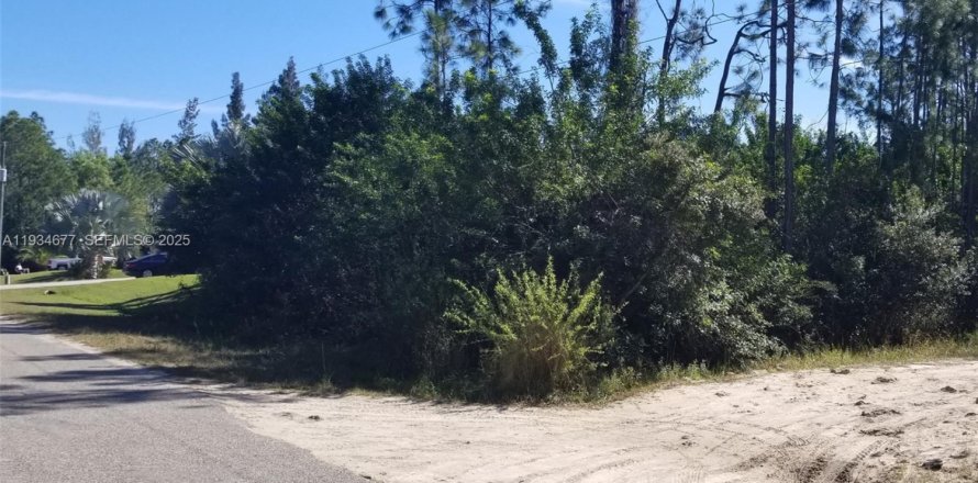 Terrain à Lehigh Acres, Floride № 1992914