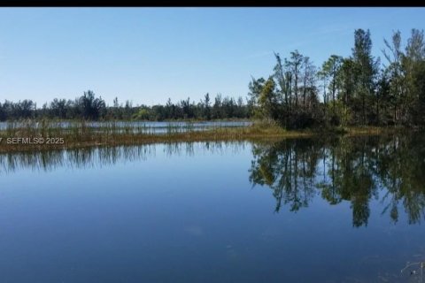 Terrain à vendre à Lehigh Acres, Floride № 1992914 - photo 2