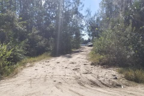 Terrain à vendre à Lehigh Acres, Floride № 1992914 - photo 4