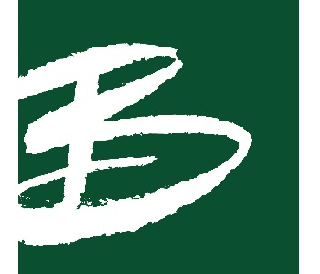 Boos Development Group, Inc.