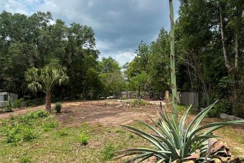 Land in Keystone Heights, Florida № 2159057