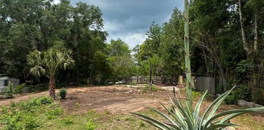 Land in Keystone Heights, Florida № 2159057