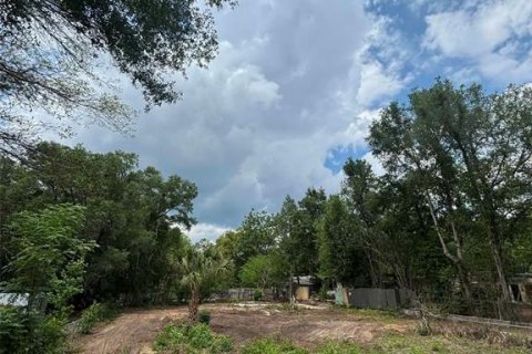 Land in Keystone Heights, Florida № 2159057 - photo 6