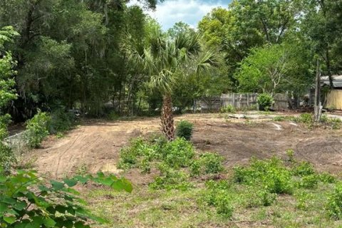 Land in Keystone Heights, Florida № 2159057 - photo 7