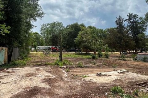 Land in Keystone Heights, Florida № 2159057 - photo 5
