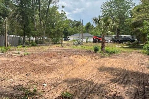 Land in Keystone Heights, Florida № 2159057 - photo 2