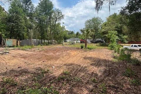 Land in Keystone Heights, Florida № 2159057 - photo 3