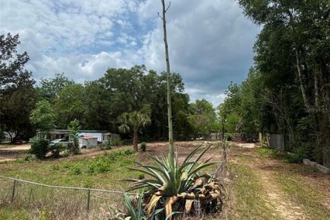 Land in Keystone Heights, Florida № 2159057 - photo 4