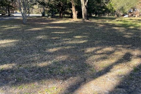 Villa ou maison à vendre à Micanopy, Floride: 4 chambres, 234.49 m2 № 1722856 - photo 30