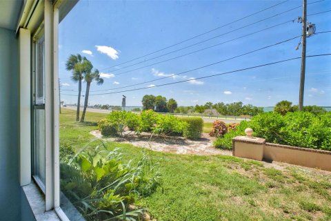 Condo in Dunedin, Florida, 1 bedroom № 2201562 - photo 30