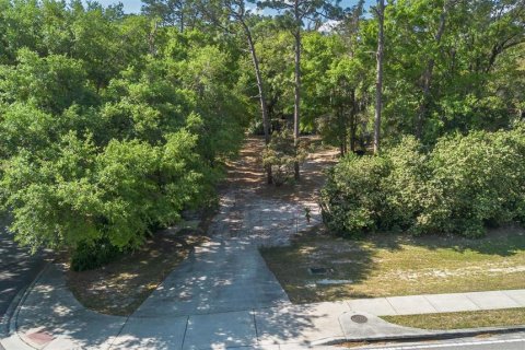 Terrain à vendre à Apopka, Floride № 1614787 - photo 6