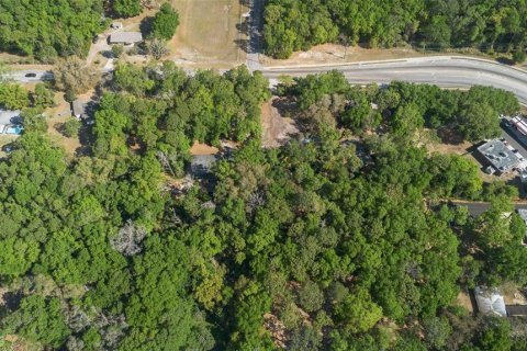 Terreno en venta en Apopka, Florida № 1614787 - foto 20