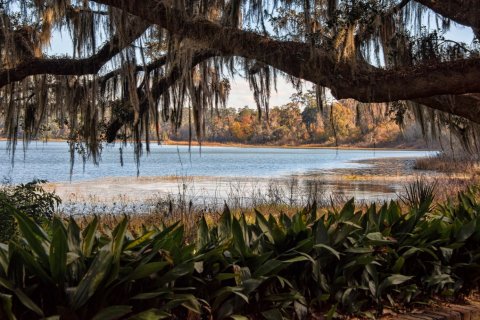 Riverstone sobre plano en Lakeland, Florida № 320156 - foto 1