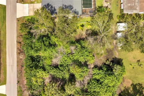 Land in Punta Gorda, Florida № 2205810 - photo 4