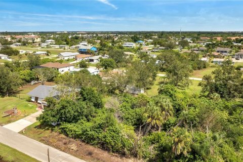 Land in Punta Gorda, Florida № 2205810 - photo 3