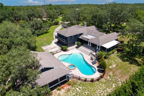 House in Tarpon Springs, Florida 7 bedrooms, 598.1 sq.m. № 2272757 - photo 6