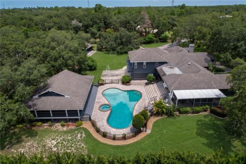 House in Tarpon Springs, Florida 7 bedrooms, 598.1 sq.m. № 2272757 - photo 12