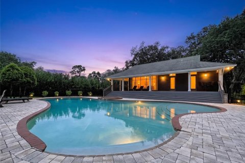 House in Tarpon Springs, Florida 7 bedrooms, 598.1 sq.m. № 2272757 - photo 10