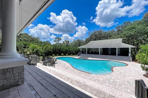 House in Tarpon Springs, Florida 7 bedrooms, 598.1 sq.m. № 2272757 - photo 14