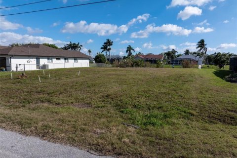 Terreno en venta en Cape Coral, Florida № 1545287 - foto 10