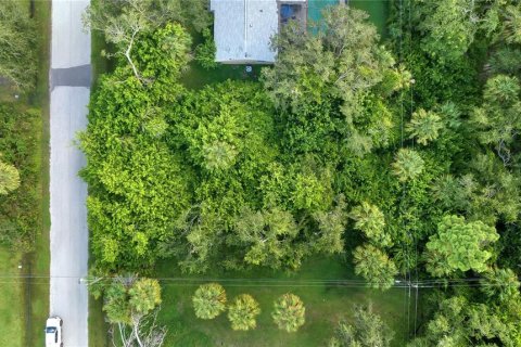 Land in Port Charlotte, Florida № 2205812 - photo 4