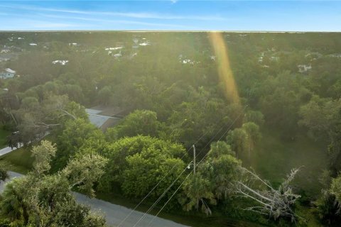 Land in Port Charlotte, Florida № 2205812 - photo 2