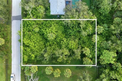 Land in Port Charlotte, Florida № 2205812 - photo 3