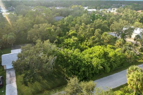 Terreno en Port Charlotte, Florida № 2205812