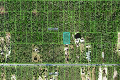 Land in Lake Wales, Florida № 2162271 - photo 3