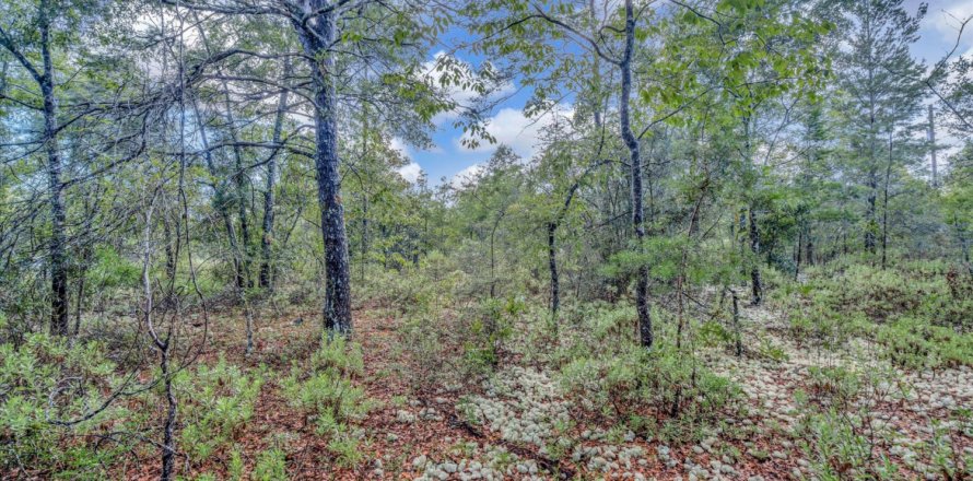 Land in De Funiak Springs, Florida № 558437