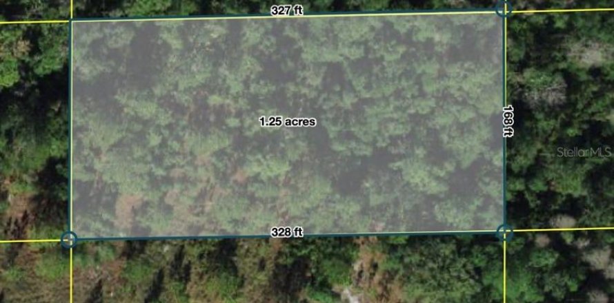 Land in Polk City, Florida № 2160815