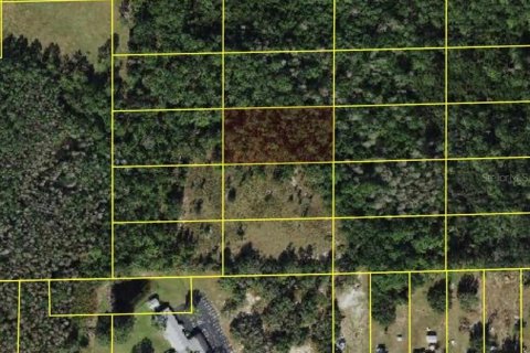 Land in Polk City, Florida № 2160815 - photo 2