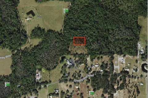 Land in Polk City, Florida № 2160815 - photo 3