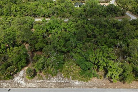 Land in Port Charlotte, Florida № 2214506