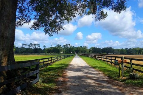 Terrain à Ocala, Floride № 2299114